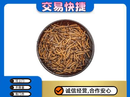 铜川高价回收散虫草